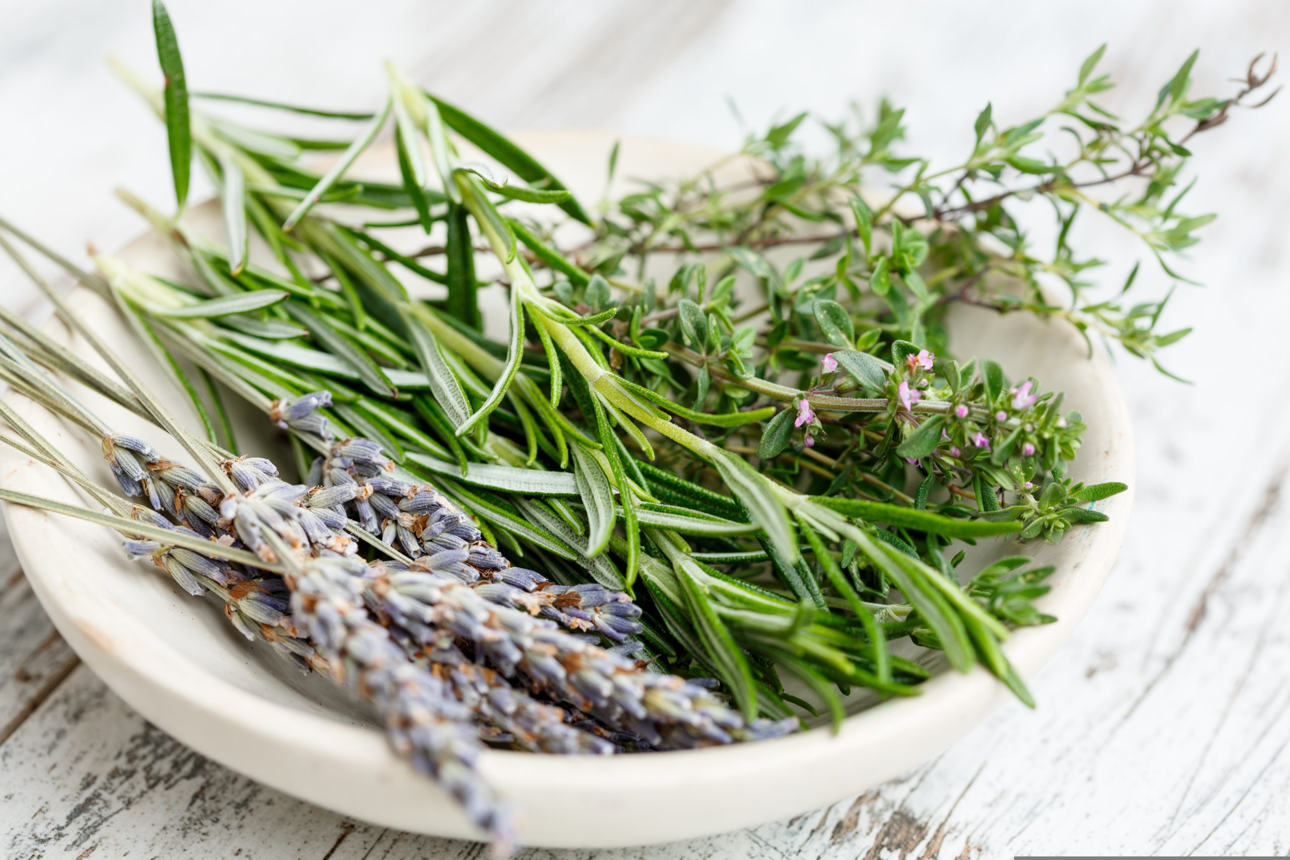 Fresh herbs and ingredients